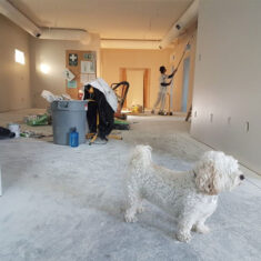 Renovation-Cleaning-Disinfecting-Sanitizing